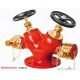 Dual Port Fire Hydrant