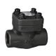 Forged Check Valve Forged Check Valve