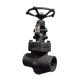 Forged Globe Valve