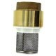 Hot Forged Brass Check Valve With Fixed Filter