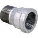 Malleable Iron Pipe Extension Socket Male Female